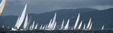 whyw13 tue 2423